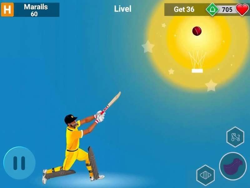 Bharat Cricket Hero gameplay screenshot